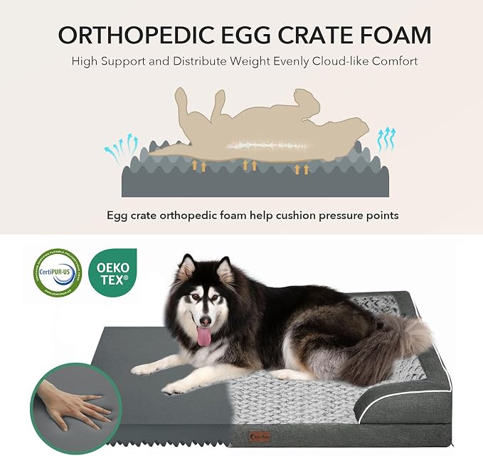 Orthopedic Dog Beds for Medium Sized Dogs 35x22 Inch, Medium Waterproof Memory Foam Dog Sofa Bed with Removable Washable Cover Pet Couch with Bolster, Dark Grey