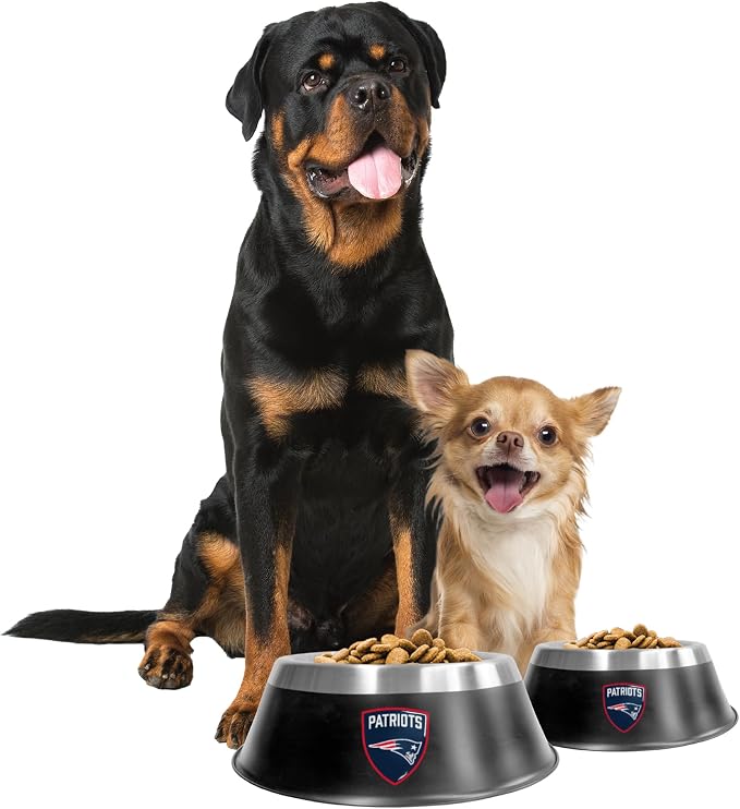 Littlearth NFL Detroit Lions MVP Pet Bowl- Size Small