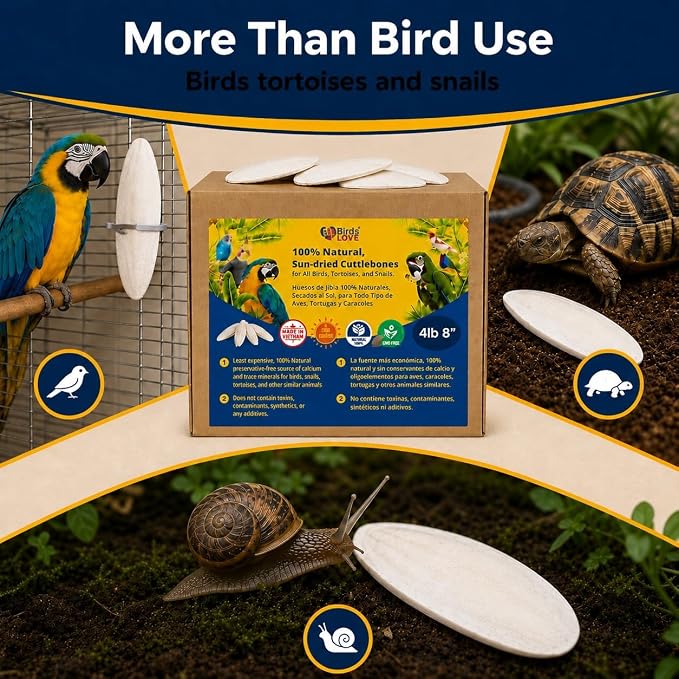 Birds LOVE 7.5-8" Cuttlebones for Birds – 100% Natural Sun-Dried Calcium & Beak Conditioning Supplement for Parakeets, Budgies, Cockatiels, Finches & Canaries – 4 lb with Holder – Made in Vietnam