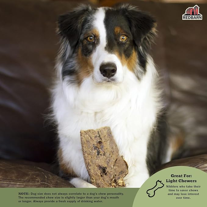 Redbarn Pet Products Natural Choppers Beef Lung Chew Treats for Dogs - Premium Made in USA Rawhide-Free Single Ingredient High Protein Low Fat - 9 oz Bag