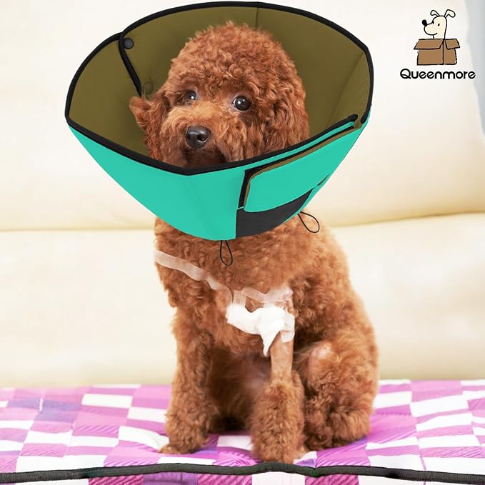 Queenmore Soft Cone for Dogs After Surgery, Dog Cones for Large Dogs to Stop Licking, Soft Dog Cone, Elizabethan Collar for Pets, Alternative Pet Recovery Collar for Wound Healing, Green L