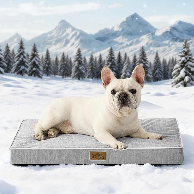 COZY KISS Cooling Orthopedic Dog Bed, Waterproof Egg Crate Foam Pet Bed with Removable Washable Cover, 29x18x3 Inch,Silver Grey