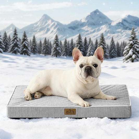 COZY KISS Cooling Orthopedic Dog Bed, Waterproof Egg Crate Foam Pet Bed with Removable Washable Cover, 29x18x3 Inch,Silver Grey