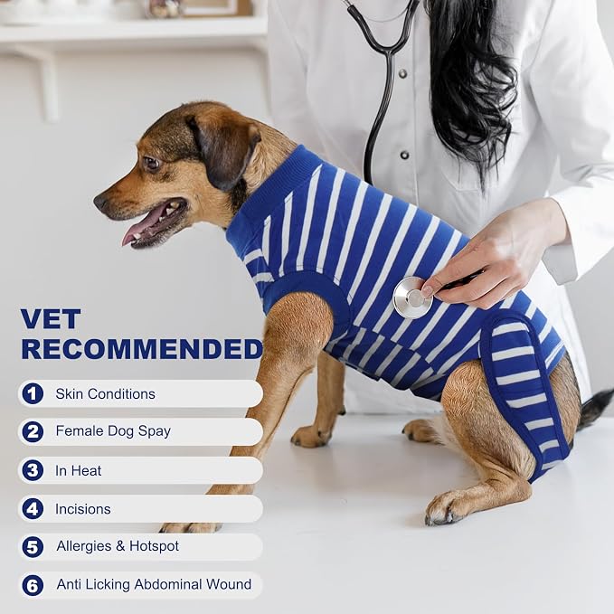 IDOMIK Dog Recovery Suit - Female Spay & Male Neuter Onesie, Adjustable Anti-Licking, Breathable & Comfortable, S Size, Blue Stripe