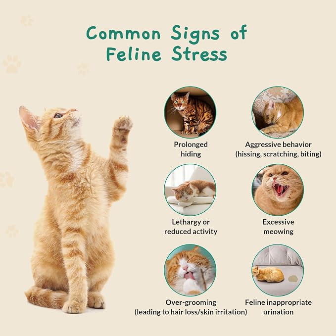 Cat Calming Gel Diffuser for Travel – Pheromone Diffuser for Cats & Kittens to Reduce Anxiety and Stress-Related Behaviors, No Electricity Needed, Long-Lasting Enhanced Calming Aid (2 Pack)