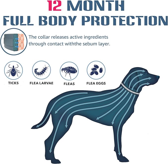 Flea and Tick Collar for Large Dog, 12-Month Full-Body Protection, Natural Ingredients, Free Flea Comb and Tweezers Included, 2 Packs