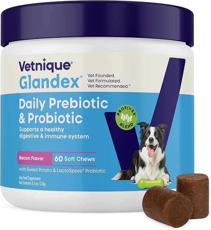 Vetnique Glandex Dog Probiotic Chews, Daily Probiotics for Dogs 5 Strains, Prebiotics & Digestive Enzymes for Gut & Immune Health, Vet Formulated for Occasional Diarrhea (60ct Chews, Probiotic Chews)