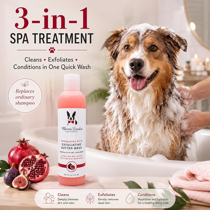 Warren London Exfoliating Butter Wash Dog Shampoo – Pomegranate & Fig, 8 oz | Cleansing, Conditioning & Exfoliating Shampoo with Jojoba Beads for Dry Skin, Soft Coat & Shine | Made in USA