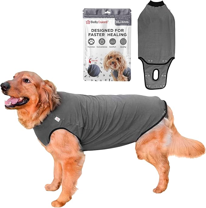BellyGuard Dog Surgery Recovery Suit, Post-Op Dog Recovery Suit for Female Spay & Male Neuter, Comfy Onesie for Pets, Surgical Body Cover for Canine Healing Support