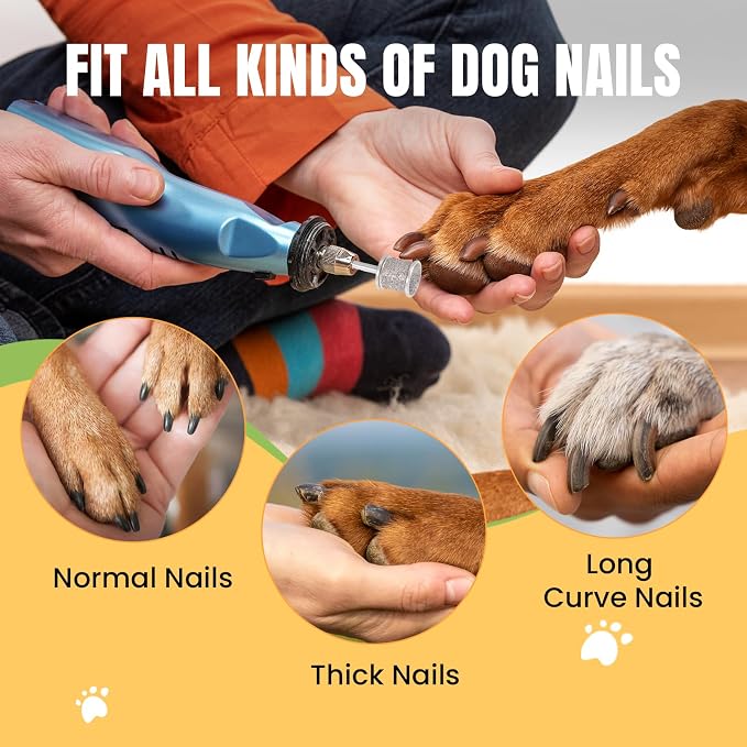 CAELUM 2 Pack Diamond Dog Nail Grinder Bits, Dual Grit 60/120 & 80/120 for Large and Small Dogs, 1/8" Shank Compatible with Dremel Rotary Tools, Low Noise Pet Nail Trimmer Attachment