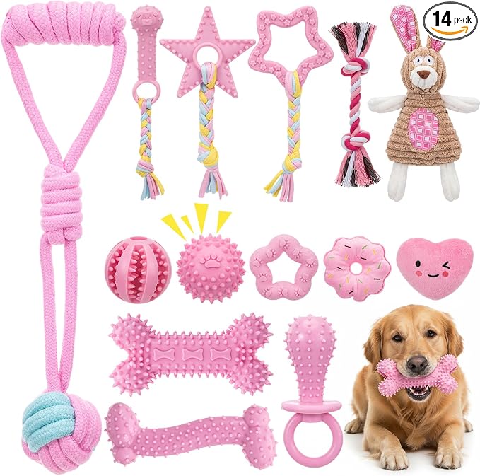 Leitee 14 Pcs Puppy Toys for Teething Dog Chew Toys for Small Dogs Soft Interactive Squeaky Plush Balls Doggy Teeth Tug of War and Rope for Small Dogs Puppy (Classic,Pink)