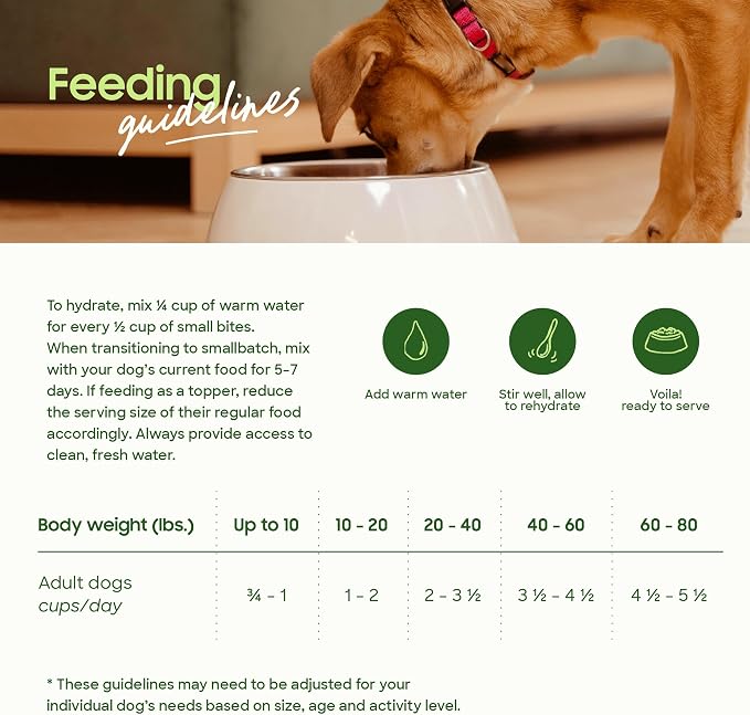 smallbatch Pets Freeze-Dried Raw Dog Food – Turkey Recipe – 7oz Small Bites – High Protein, Grain Free – Complete Meal or Topper – Made in USA with Organic Superfoods (7 Oz, Turkey)