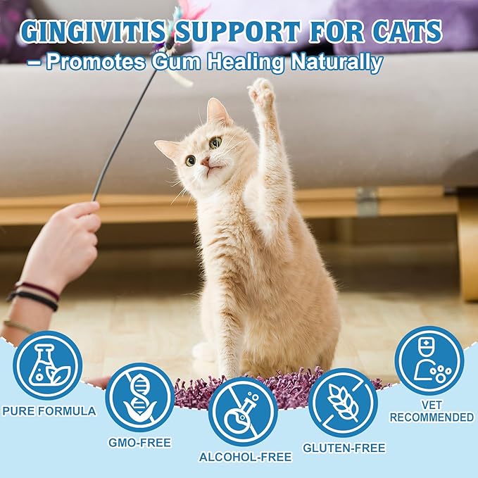 Oral Health for Cats, Cat Gingivitis Treatment, Reduce Gum Inflammation, Redness & Pain, Combats Gum Disease, Natural Plant-Based Active Formula, Cat Oral Care, Gums Health Treatment, 4 oz (113g)
