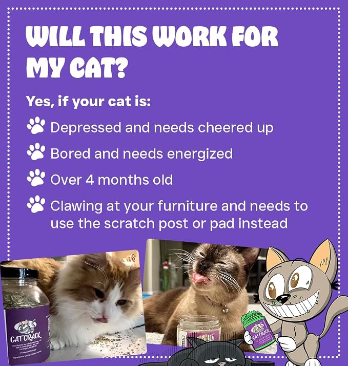 Cat Crack Catnip, Zoomie-Inducing Cat Nip Blend, North American Made & 100% Natural, Safe & Non-Addictive Catnip Treats Used to Supplement Cat Nip Toys, Spray, & Accessories (1 Cup)