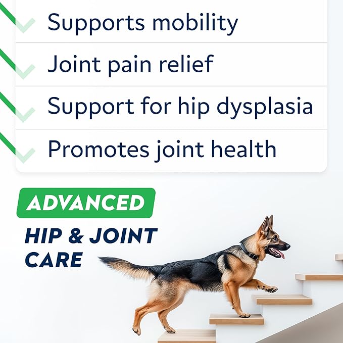 STRELLALAB Advanced Glucosamine Hip & Joint Supplement for Senior Dogs & Horses - Green Lipped Mussel & Collagen - Hip & Joint Pain Relief - Large & Small Breed - Joint Health - 120 Chews