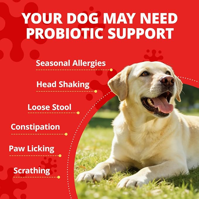 Probiotics for Dogs Digestive Health, 20 Billion CFU Dog Probiotic with Digestive Enzymes & Pumpkin Powder, Soft Powder, 30 Sachets