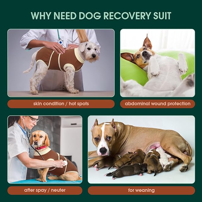 Kuoser Dog Recovery Suit, Soft & Breathable Fabric, Anti Licking, Cone Alternative, Brown XL