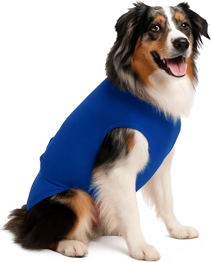 SurgiSnuggly Disposable Dog Diapers Female or Male Dogs, Great Cover for Female Dog Diapers for Heat Cycle and Better Than Dog Suspenders- Wrap Around Legs for Superior Fit XS Blue