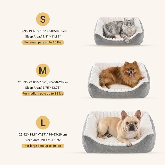 Avont Supportive Dog Bed for Small Dogs & Cats, Plush Foam Fill, Cream | Removable Machine Washable Cover, Low 5.12" Entry for Pups & Seniors, 7:3 Foam-PP, Non-slip Bottom, Hidden Chew-proof Zippers