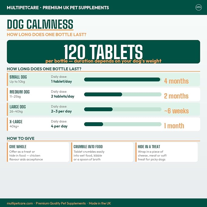 Calming Chews for Dogs – Daily Anxiety & Hyperactivity Support | L-Theanine, Taurine, Magnesium & Ginger | For Separation, Storms, Fireworks & Travel | Chicken Flavor Tablets | UK GMP | 120 Ct