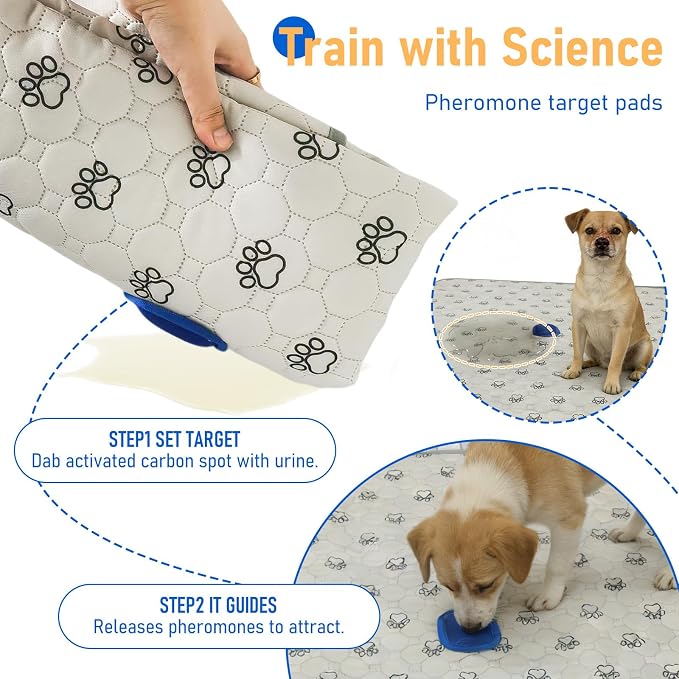 2Pack Washable Pee Pads for Dogs, Reusable Puppy Pads Pet Training Pads with Activated Carbon Pheromone Attraction Targets, Waterproof & Non-Slip Dog Pee Pads for Housebreaking (36"x36")