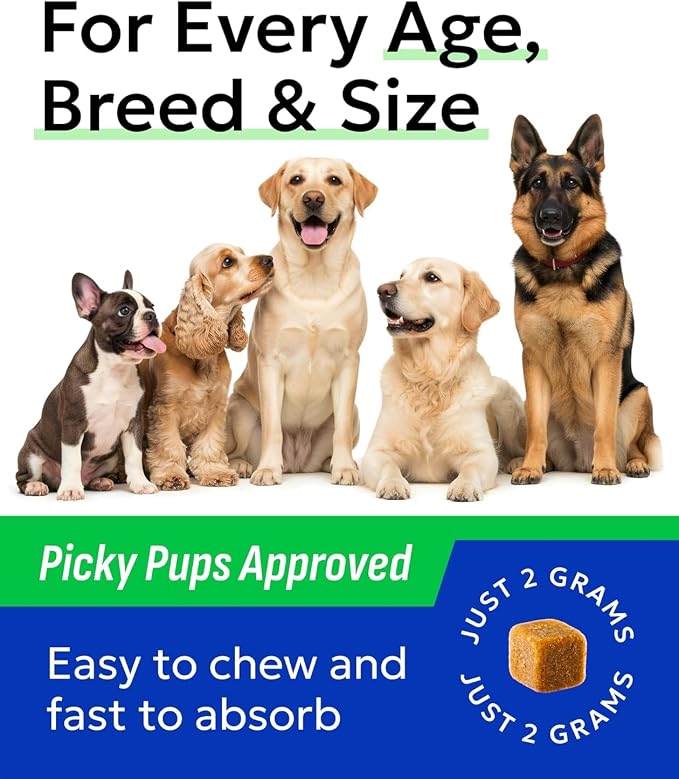 BARK&SPARK Advanced Omega-3 Collagen for Dogs - 180 Salmon & Fish Oil Treats for Dog Shedding, Skin Allergy Chews, Itch Relief, Hot Spots Treatment - Joints, Skin & Coat Supplement,EPA&DHA Fatty Acids