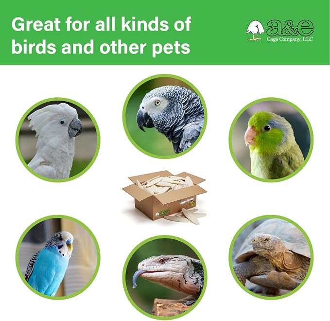 Captain Cuttlebone AE9011 Natural Bird Cuttlebone – 5lb Bulk Box of 4–6" Pieces – Calcium Supplement for Parakeets, Budgies, Finches, Canaries, Lovebirds & Small Birds