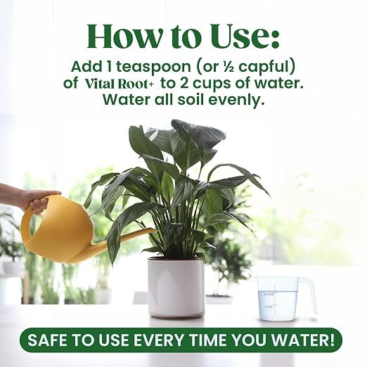 Root Rot Repair & Plant Transplant Shock Recovery – Liquid Supplement for Indoor Plants, Fiddle Leaf Fig, Monstera & Pothos | Heals Roots, Prevents Brown Spots & Leaf Drop, 8 oz – Vital Root+