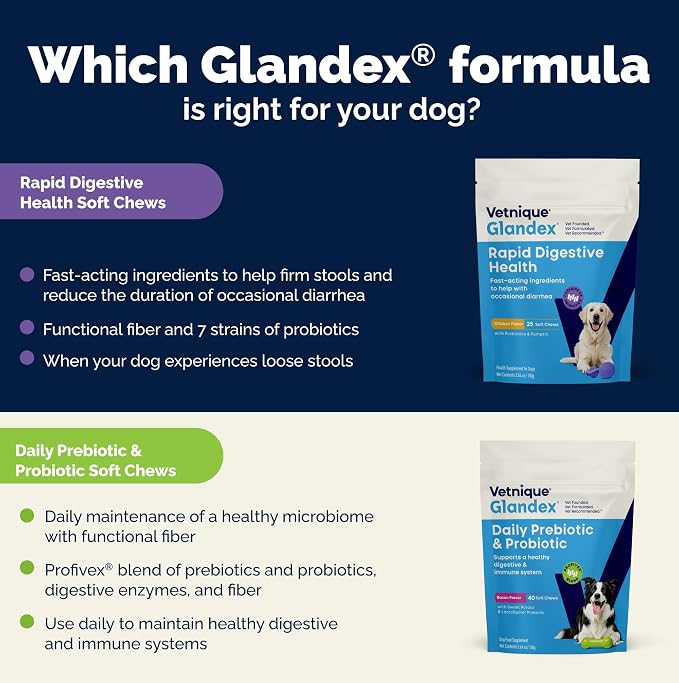 Vetnique Glandex Rapid Digestive Support for Dogs with Loose Stool | Diarrhea - Probiotics and Pumpkin for Dogs to Help Firm Dog Poop - 25 Chicken Flavored Soft Chews (25ct, Anti-Diarrhea)