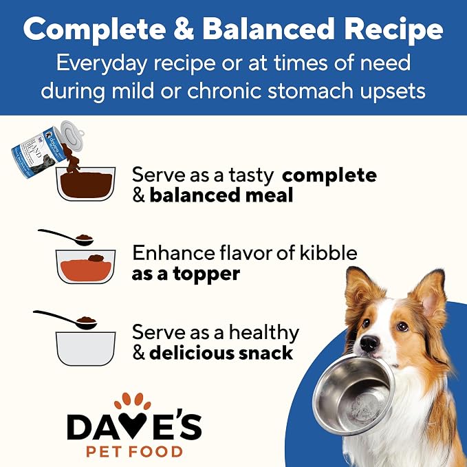 Dave's Pet Food Bland Diet Dog Food (Chicken & Rice), Sensitive Stomach, Easy to Digest Pate, Gluten-Free, Digestive Care, Low Fat (6%) Limited Ingredients, Complete & Balanced, 13.2 oz (Case of 12)