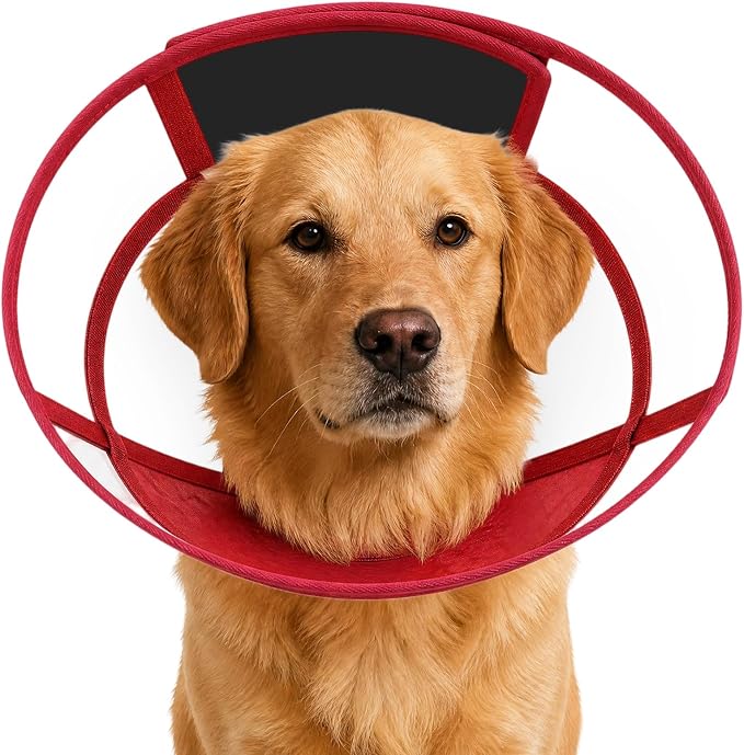 Dog Cone Collar for After Surgery Recovery, Soft Adjustable Elizabethan Collar for Small Medium Large Dogs, Comfortable Anti-Lick Cone for Wound Healing (Red S)