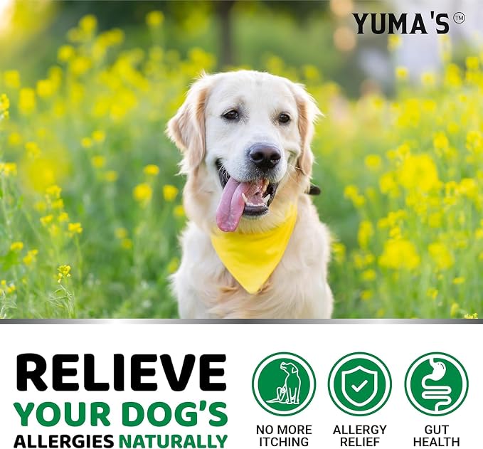 2-Pack Dog Allergy Relief Chews - Dog Itching Skin Relief Treatment Pills - Anti-Itch Chewables - Itchy and Paw Licking - Hot Spots - Omega 3 Fish Oil - Dry Skin & Coat Supplement