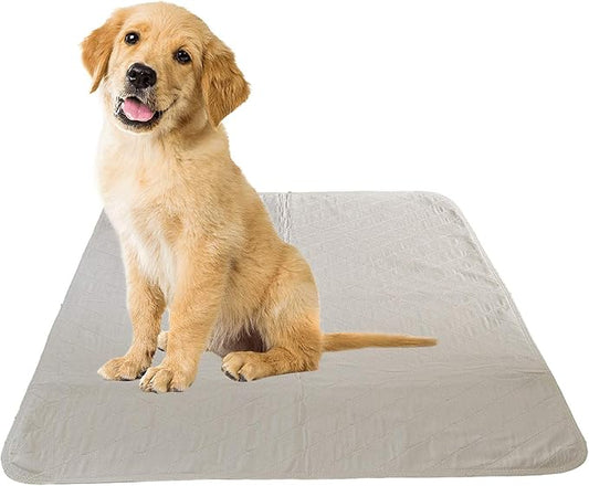 Puppy Training Washable Pee Pad - Heavy Duty, Super Absorbent - Reusable Economical Eco-Friendly Pads Premium Carpet/Seat Protection - for Medium Dogs - 2 Pack Pink