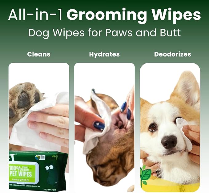 Pet N Pet 100% Plant Based Dog Wipes for Paws and Butt, 100 Counts Hypoallergenic Unscented Dog Pet Wipes, 8" x 8"