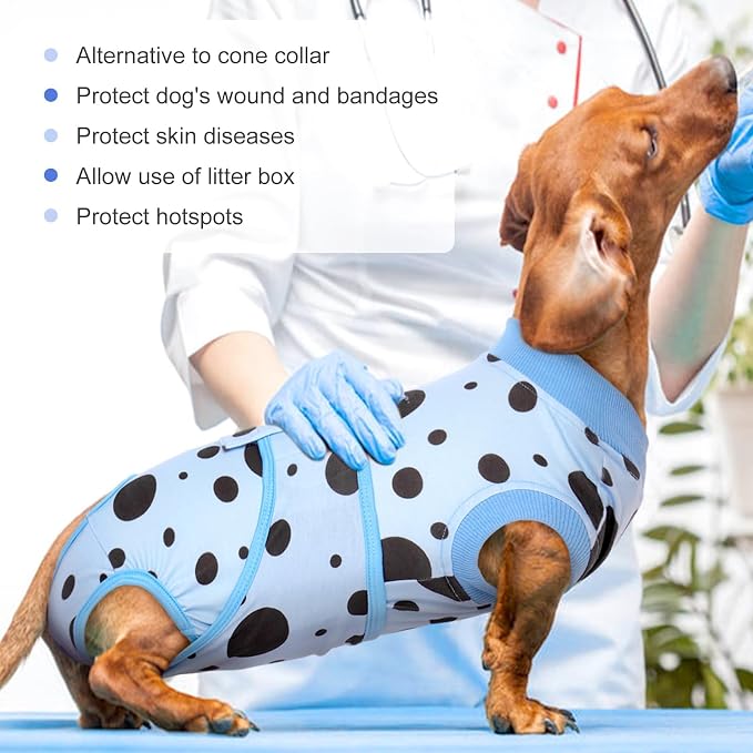 Kuoser Dog Surgery Suit, Soft Dog Spay Recovery Suit Female, Anti Licking Neuter Recovery Suit for Male Dogs, Post-Op Pet Surgical Suit Protective Wear E-Collar & Cone Alternative,Blue Polka Dots L