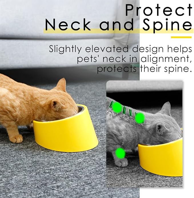 SuperDesign Mess Free 15° Slanted Bowl for Dogs and Cats, Tilted Angle Bulldog Bowl Dog Feeder, Non-Skid & Non-Spill, Easier to Reach Food S/0.5 Cup Bright Yellow