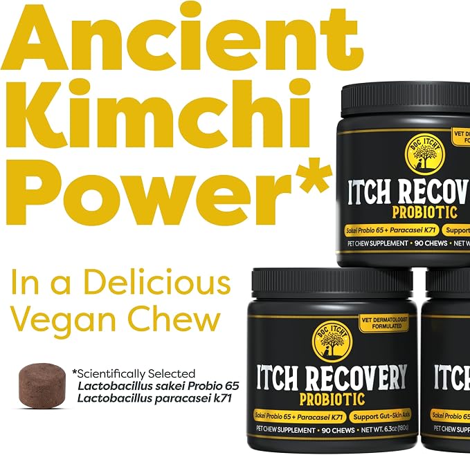 Doc Itchy: Itch Recovery Dog Probiotic Chews | L Sakei & L Paracasei | Targets Itchy Skin, Ears & Paws | Supports Yeast Balance & Gut Health | Clinical-Strength | 90 Count