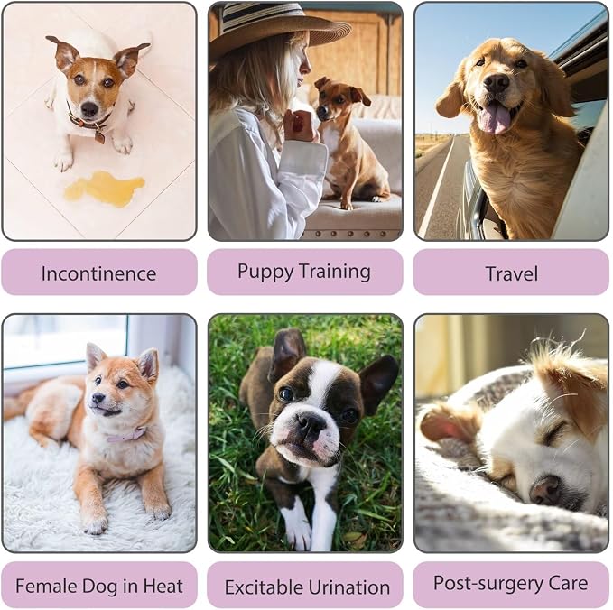 Paw Legend Washable Reusable Female Dog Period Diapers for Heat Doggie Puppy Diapers for Female Dogs (3 Pack, Small)