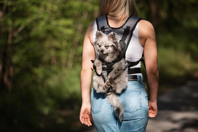 Dog Carrier Backpack for Small and Medium Dogs, Hands-Free Front Chest Carrier, Escape-Proof, Breathable, Adjustable Straps for Comfortable Travel and Hiking | My Modern Pet