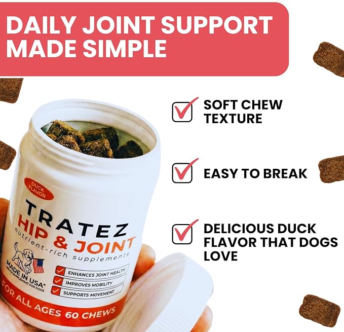 Hip & Joint Supplement for Dogs - Glucosamine Chondroitin MSM & Green Lipped Mussel Soft Chews - Dog Joint Pain & Mobility Support for Senior & Large Breed Dogs, Duck Flavor, 60 Count