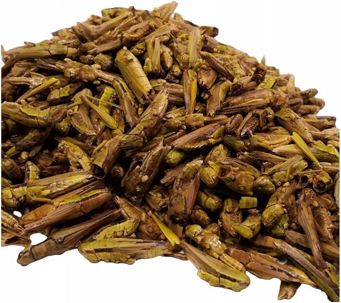 Grasshoppers - Freeze Dried Grasshoppers for Tropical Fish, Reptiles, Turtles, Tortoises Frogs, Hamsters, Birds, Rodents…14oz Lg Jar
