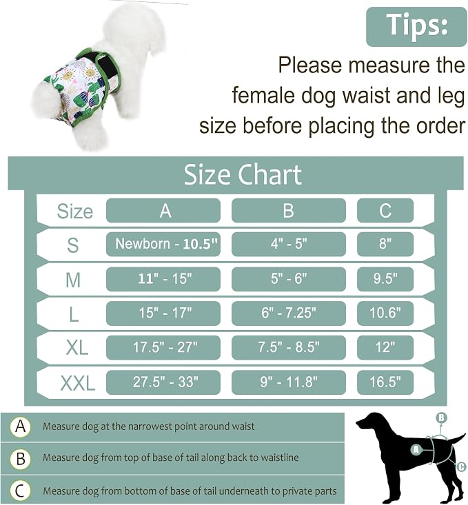 Washable Female Dog Diapers - Premium Reusable Diapers for Doggie in Heat - Highly Absorbent Dog Diapers Female for Pet Incontinence with Adjustable Snaps (Cactus，S)