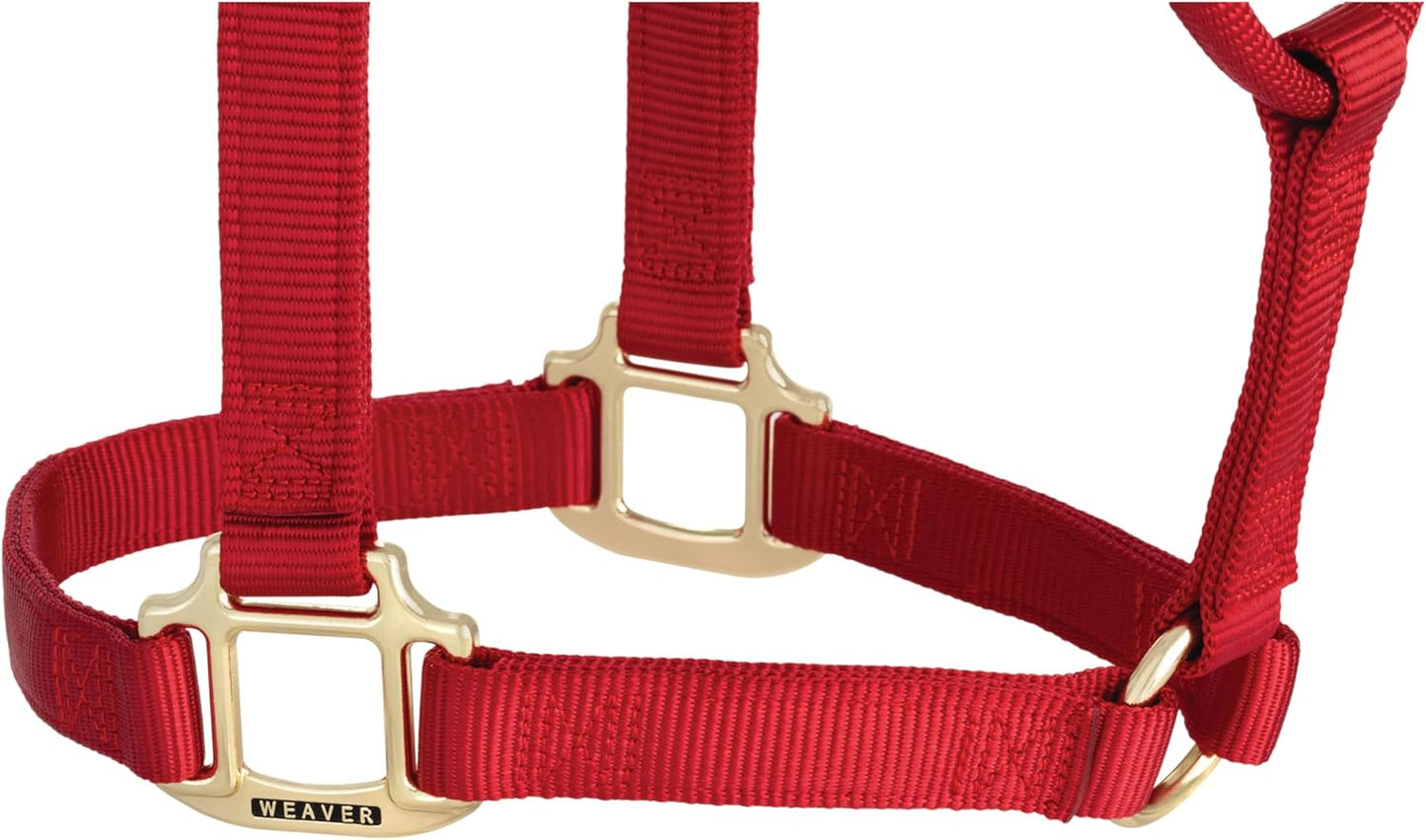 Weaver Equine Nylon Horse Halter, Triple-Ply Cheek Design, Original Non Adjustable Halters for Horses, Equine Tack,Average Size, Black