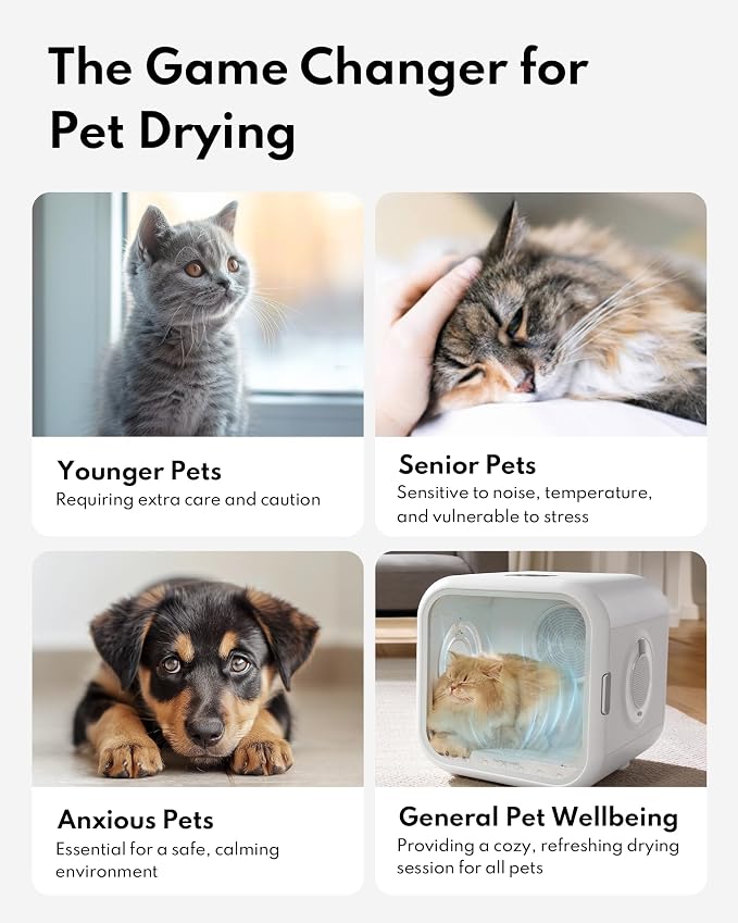 HomeRunPet Cat Dryer, Ultra Quiet, Patented Fresh Air Ventilation, Smart Temperature Control, Safe 360° Even Drying Pet Dryer Box for Cats & Small Dogs (50L Drybo Plus)