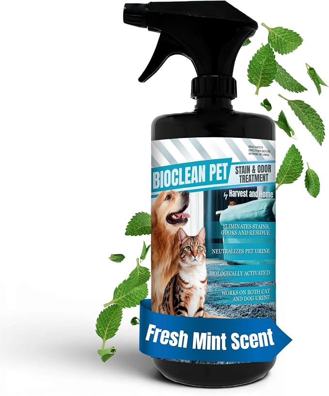 Bioclean Pet Carpet Cleaner & Deodorizer – Eliminates Pet Urine Smell, Stain & Odor Remover, No Residue, Made in USA – 16oz