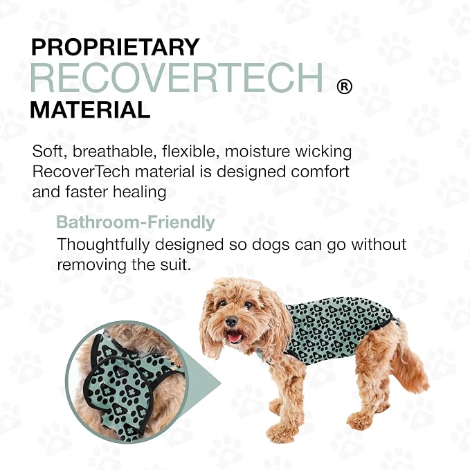 BellyGuard Dog Surgery Recovery Suit, Post-Op Dog Recovery Suit for Female Spay & Male Neuter, Comfy Onesie for Pets, Surgical Body Cover for Canine Healing Support