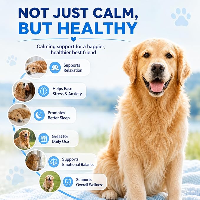 Calming Chews for Dogs, Dog Calming Treats with Melatonin, Stress & Anxiety Relief, Relaxation Aid for Travel, Vet Visits, Fireworks, Storms & Separation, Duck Flavor, 200 Soft Chews