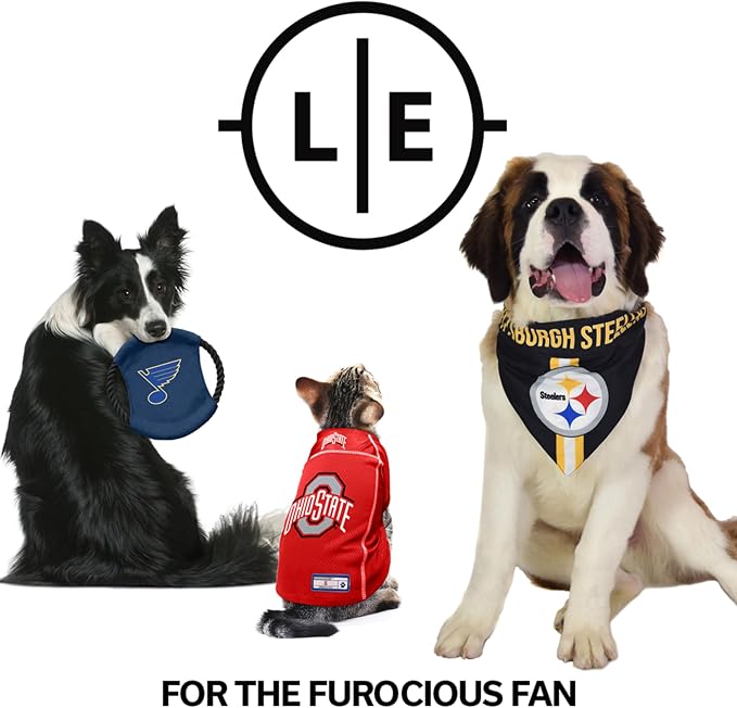 Littlearth NFL Detroit Lions MVP Pet Bowl- Size Small