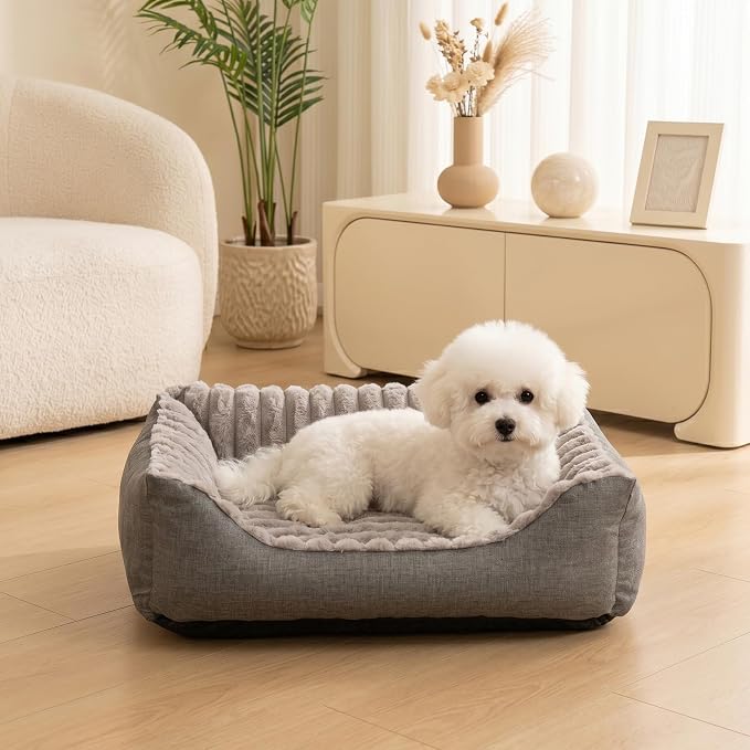 Avont Supportive Dog Bed for Medium Dogs, Plush Foam Fill, Grey | Removable Machine Washable Cover, Low 5.12" Entry for Pups & Seniors, 7:3 Foam-PP, Non-slip Bottom, Hidden Chew-proof Zippers