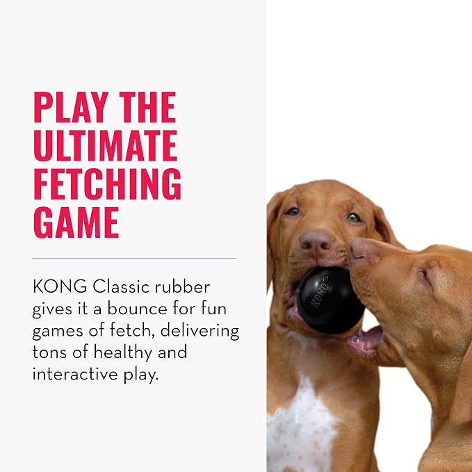 KONG Extreme Ball with Hole - Fetch Toy - Durable Dog Toy for Training, Interactive Playtime & More - Natural Extreme Rubber Ball - Black - for Large Dogs